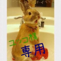 ユッコ様専用＊SALE＊FOREVER21♡ワンピースのサムネイル