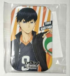 ハイキュー!! 影山飛雄 カド丸缶バッジ 等身 j-world 宮城フェス 
