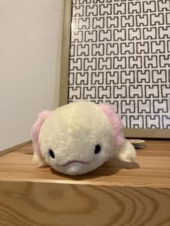にぎって！　うーぱーるーぱー　ぬいぐるみのサムネイル
