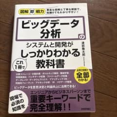 図解即戦力 ビッグデータ分析のシステムと開発がこれ1冊でしっかりわかる教科書のサムネイル