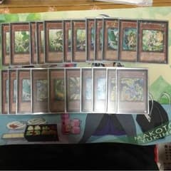 遊戯王 ガスタデッキのサムネイル