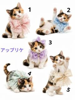 オーダー用猫ちゃんパネルサンプルページ　五 商品オーダー用 猫パネル 17cm25cm パネル生地 - メルカリ