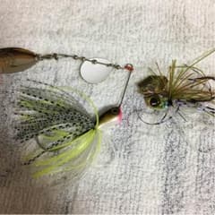 専用のサムネイル