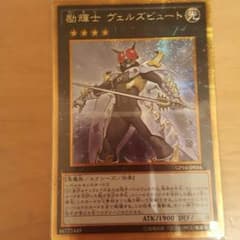 励輝士 ヴェルズビュート ゴルシクのサムネイル