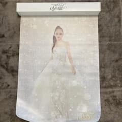 namie amuro Final Space B2ポスター B白のサムネイル