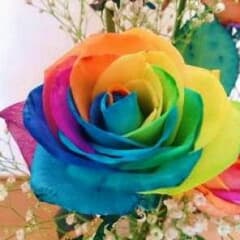 ○みや様専用のサムネイル