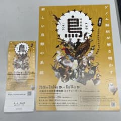 特別展 鳥 2026年3月14日〜6月14日　チケット　大人　1人のサムネイル
