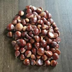 cocoさん専用のサムネイル