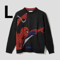 L Graniph Spiderman Knit Sweater Feral Imp the avengers