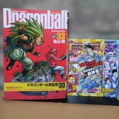 ドラゴンボール 完全版 33巻 初版 鳥山明 - メルカリ