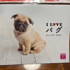 I LOVE パグカレンダー 2026