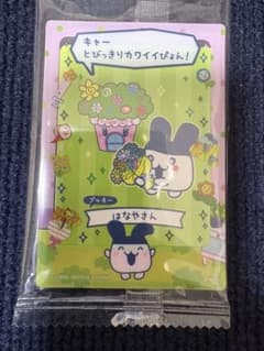 みみっち　はなやさん カードのサムネイル