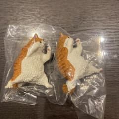 まけるもんか 勇気をだせ！ 茶トラのサムネイル