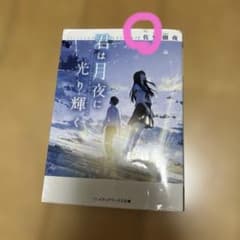 君は月夜に光り輝く　佐野徹夜のサムネイル
