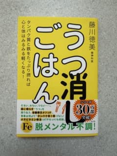 うつ消しごはん 藤川徳美著のサムネイル