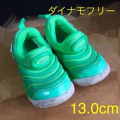 NIKE ナイキ ダイナモフリーのサムネイル