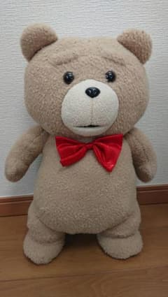 テッドのサムネイル