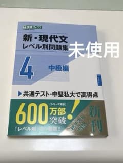 新・現代文レベル別問題集4中級編のサムネイル