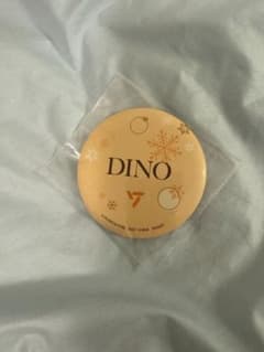 SEVENTEEN WINTER 이치 반 쿠지 D상 DINO