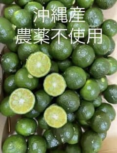 沖縄産のシークワーサーです❗️農薬不使用‼️1キロ以上のサムネイル