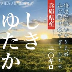 レア品種☆もっちり甘い 兵庫県産シキユタカ 湧き水育ち 農家直送 10kg