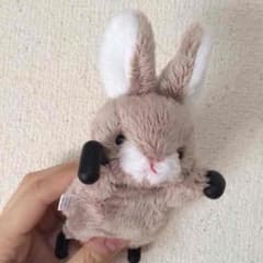zoopy♡うさぎケース♡iPhone5、5sのサムネイル