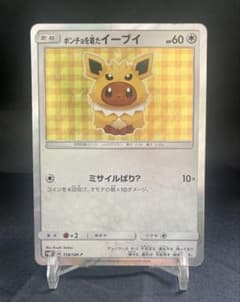 ポンチョを着たイーブイ サンダース プロモ ピカチュウ リザードン SAR ポンチョを着たイーブイ サンダース プロモ ピカチュウ リザードン SAR