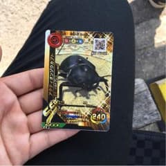 ムシキング カードのサムネイル