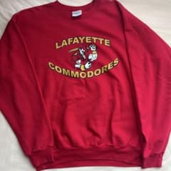 90s Hanes ヘインズ スウェット　短丈のサムネイル