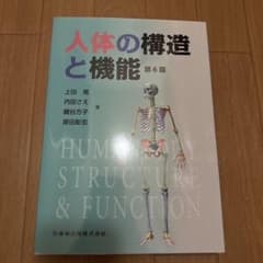 人体の機能と構造のサムネイル