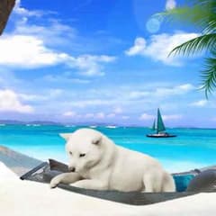 Hagi様専用のサムネイル