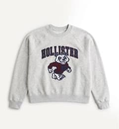 Hollister スウェット グレー アニマルロゴ y2kのサムネイル