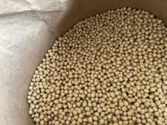 大豆 1kg 無農薬 とよむすめのサムネイル