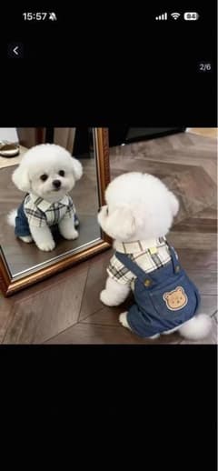犬用 オーバーオール風 つなぎ服 チェック柄 くまのサムネイル
