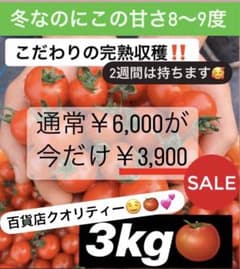 【今月で一旦販売終了】この機会にぜひ^_^のサムネイル