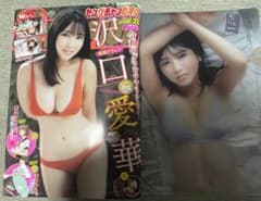 사와구치 아이카 영 챔피언 세트