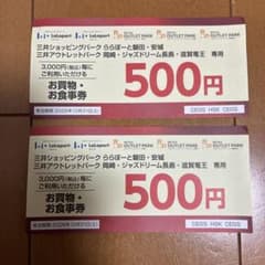 三井ショッピングパーク お買物・お食事券 500円分 2枚 - 3