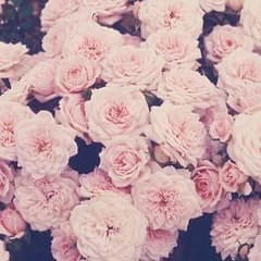 ͭ✧✦﻿   meee 様 専用  .のサムネイル