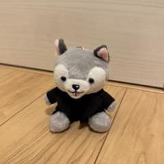 SixTONES 松村北斗 ノキドア お座りぬいぐるみ(倒理犬) - メルカリ