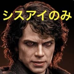 ホットトイズ アルチザン アナキン ダースベイダー 用シスアイ スター