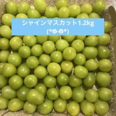 シャインマスカット1.2kg٩(๑ơ ڡơ๑)۶♥のサムネイル