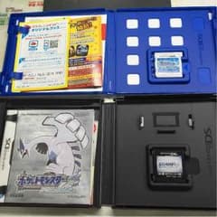 カナリアさん専用のサムネイル