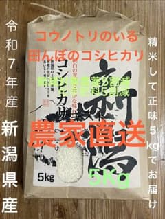令和7年産　新潟県産コシヒカリ 白米　5kg 農家直送　化学肥料・対象農薬低減のサムネイル