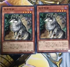 遊戯王 孤高除獣 2枚セットのサムネイル