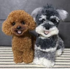 動物ぽんぽんアリエス様専用のサムネイル