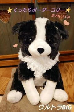 m51467576933_1.jpg?1705155393