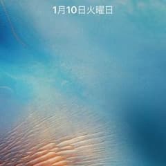 華子様専用＼(^o^)／のサムネイル