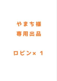 やまち様 専用出品のサムネイル