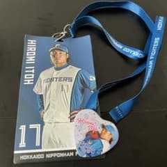 北海道日本ハムファイターズ 日ハム 伊藤大海 チケットケース チケットホルダー
