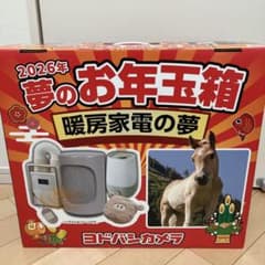 ヨドバシカメラ 夢のお年玉箱 2026 布団乾燥機 加湿器 ヒーター - メルカリ